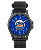 Pride New York Mets